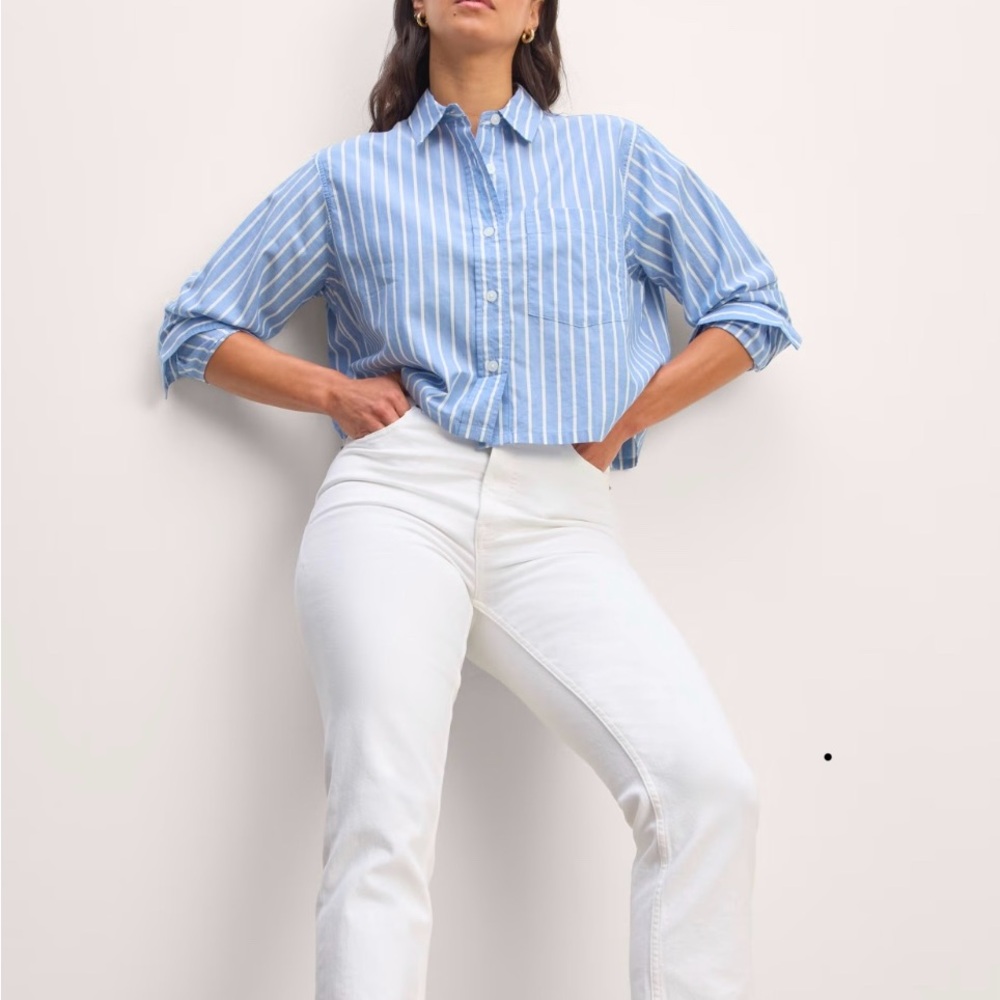 Everlane Blue and White Striped Button Down Shirt